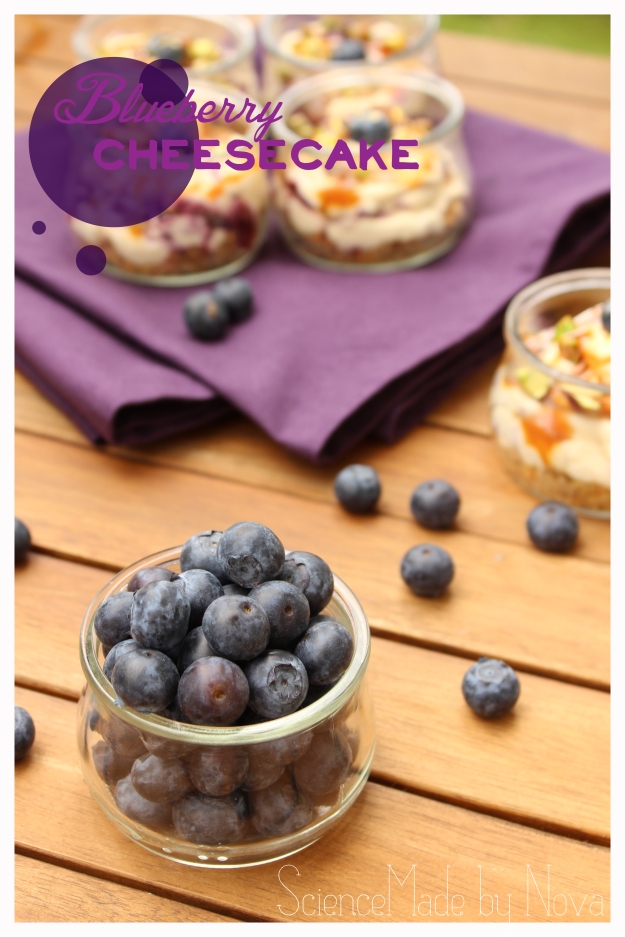 NoBake-Blueberry-Mini-Cheesecake by Sciencemade