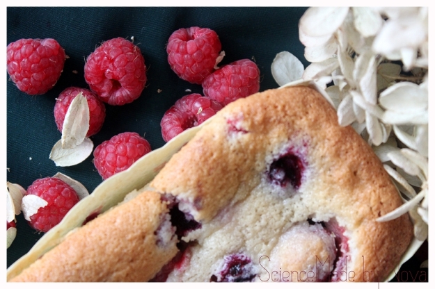 Financier aux fruits by ScienceMade